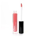 LUSCIOUS LIP SHEEN DELECTABLE 04 OPEN BOTTLE.jpg